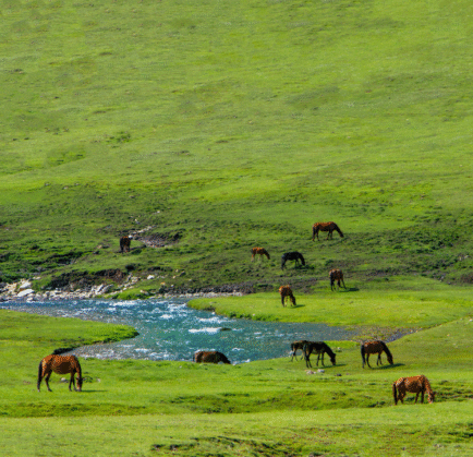 Enjoy a luxury vacations with Best hotel in Naran